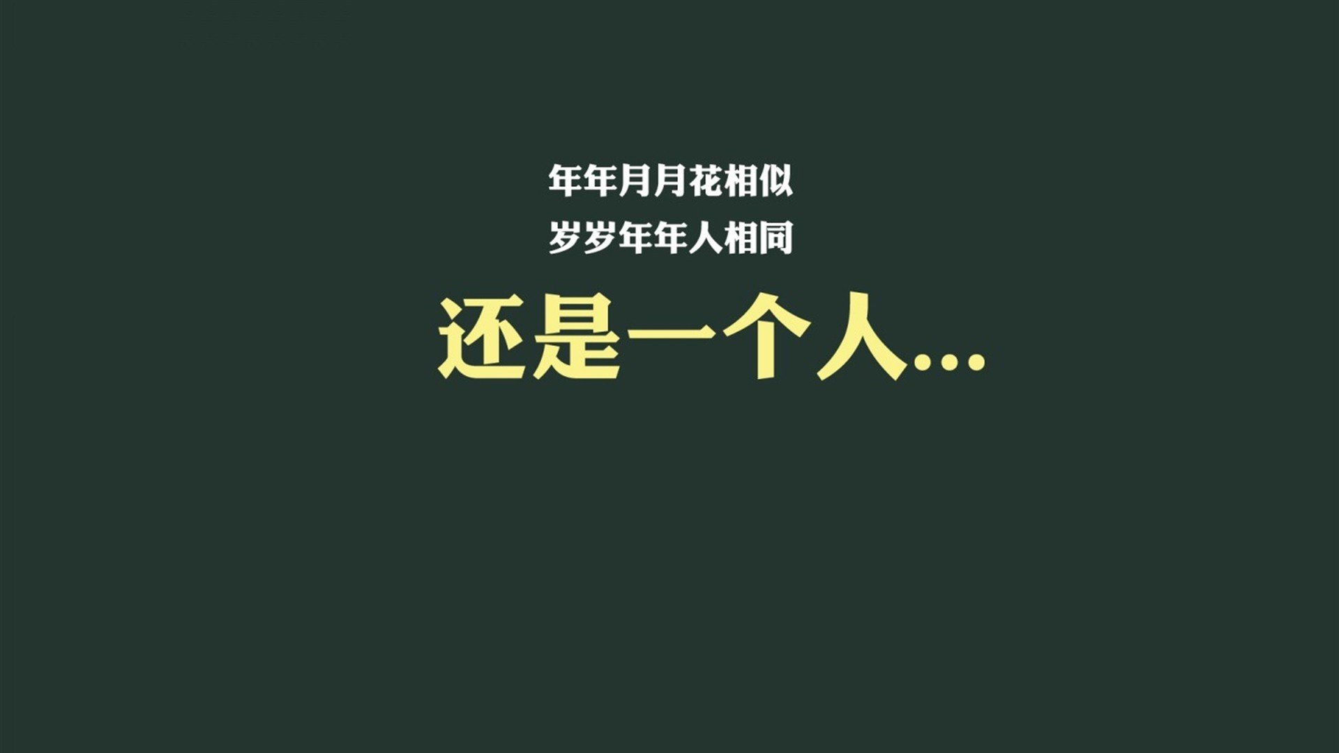 开云体育官网在线-新秀崛起：本赛季最耀眼的潜力股球员报道，新秀崛起中场