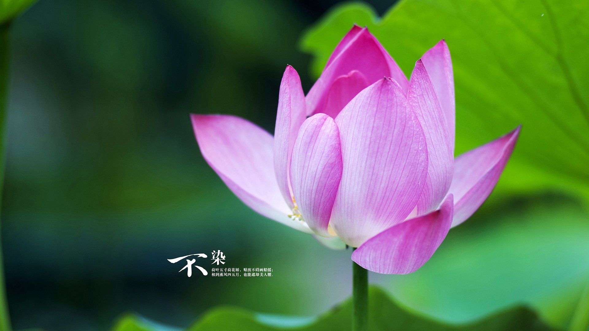开云体育app注册-“高新体育中心：举重选手奋力拼搏，超越极限迎接荣耀”