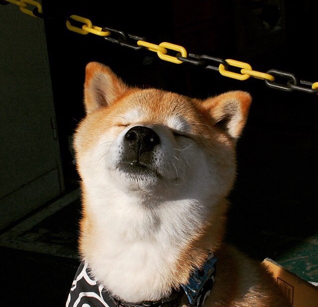 开云体育app-罗马边路渗透打破防守平衡制造空档，罗马防线