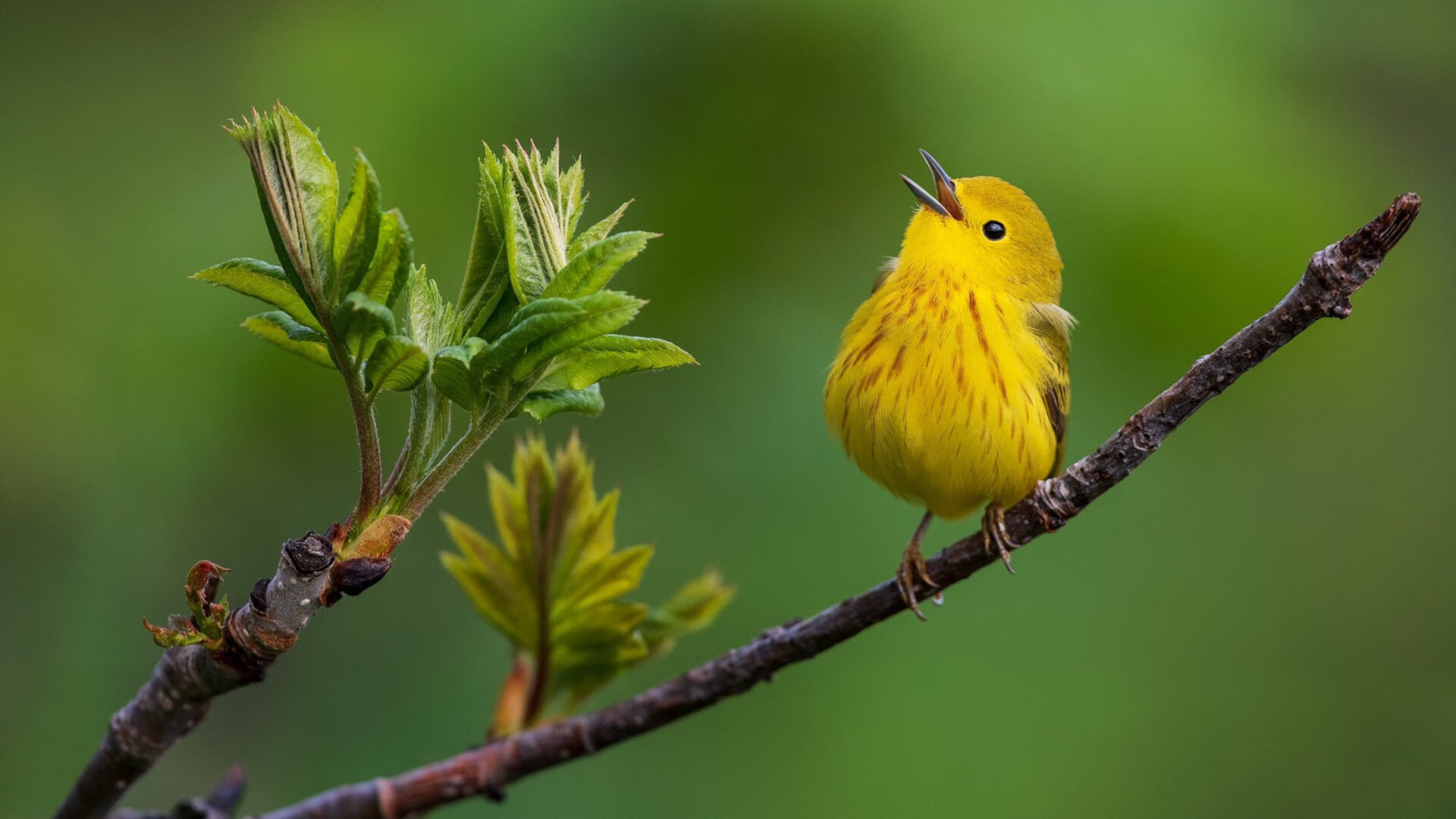 开云体育app-辽宁飞豹训练强度升级备战关键对决，辽宁飞豹俱乐部官网