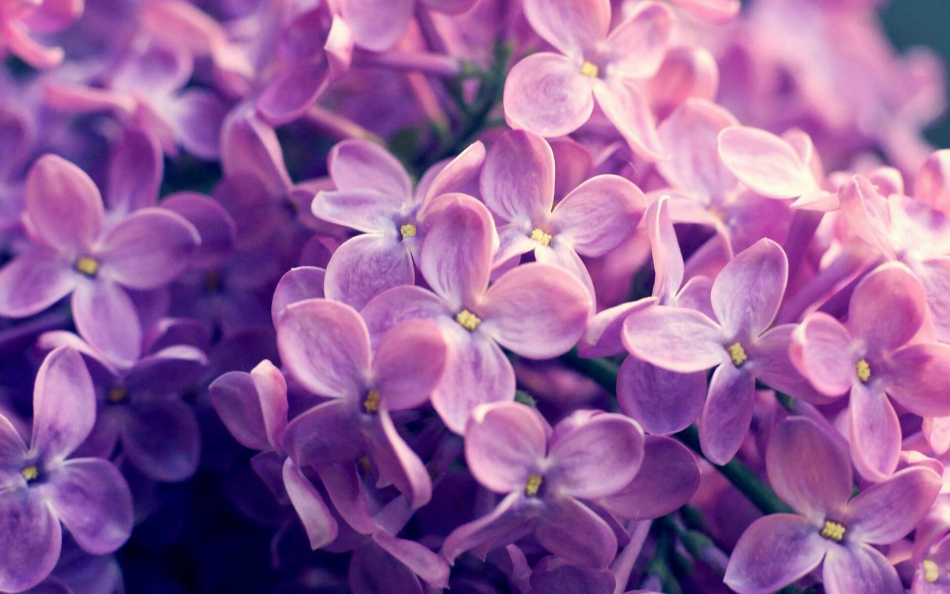 开云体育app-辽宁飞豹训练强度升级备战关键对决，辽宁飞豹俱乐部官网