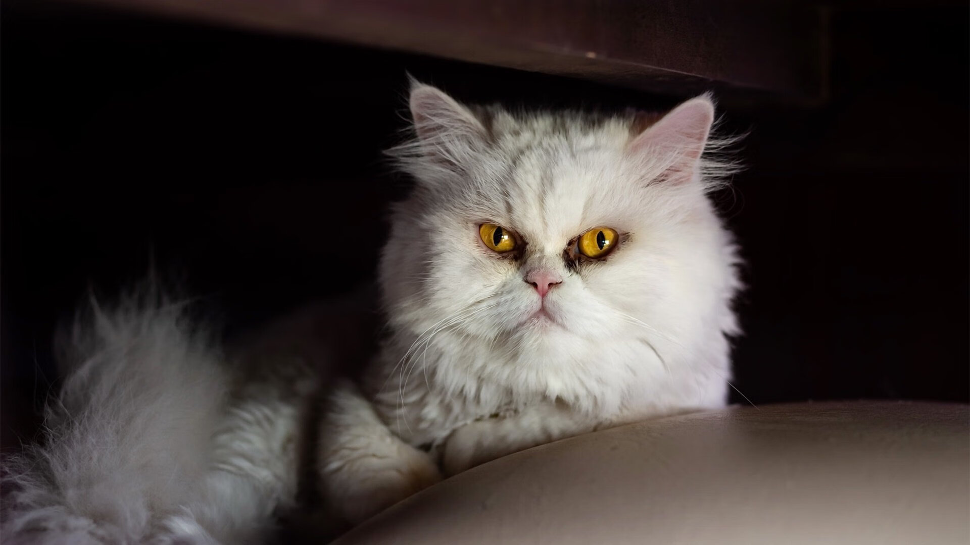 开云体育登录-高节奏打法下防守球员是否易体能枯竭，防守强度大时怎么进攻