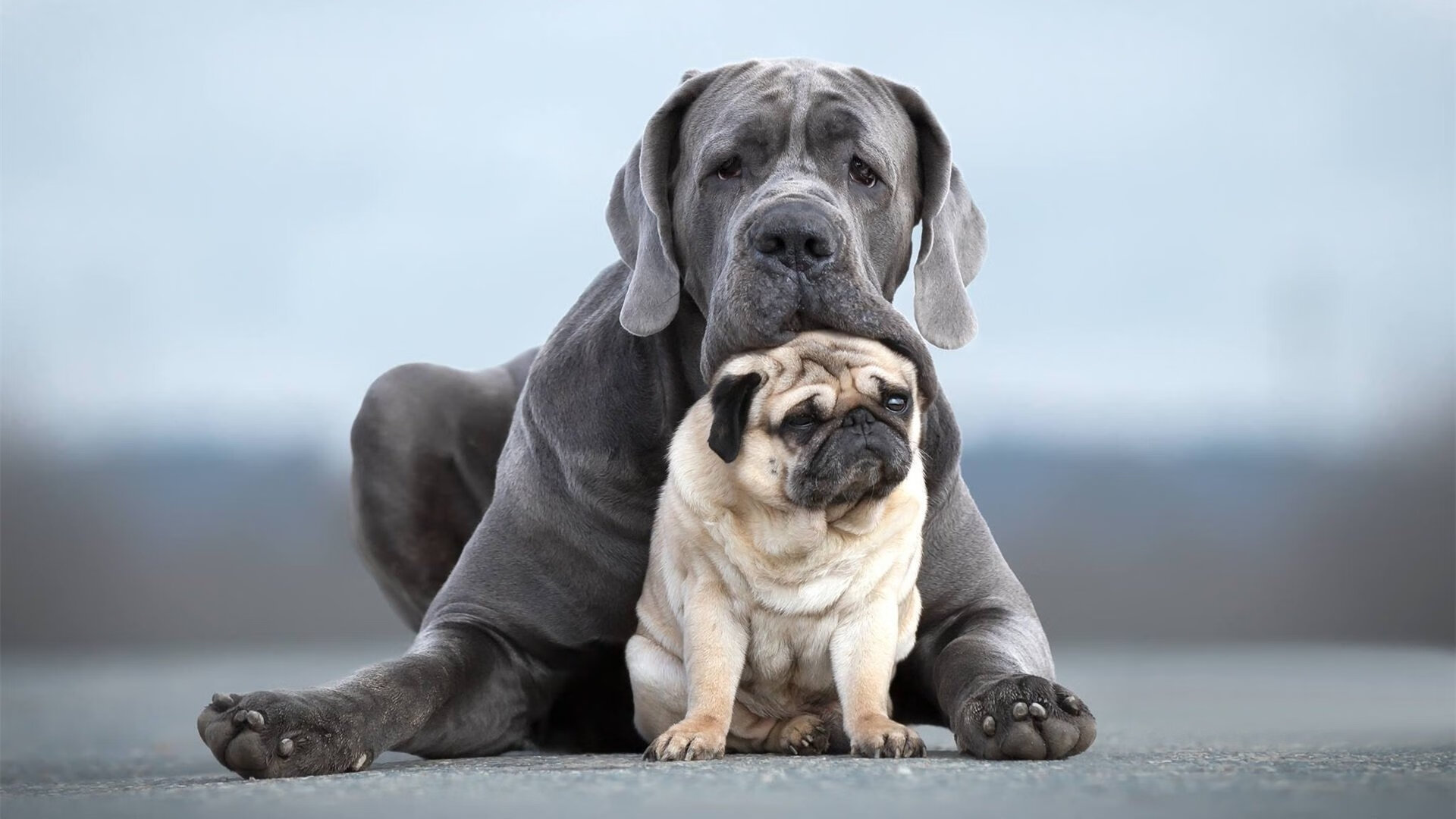 开云体育登录-C罗称享受比赛比赢球更有意义，c罗打比赛