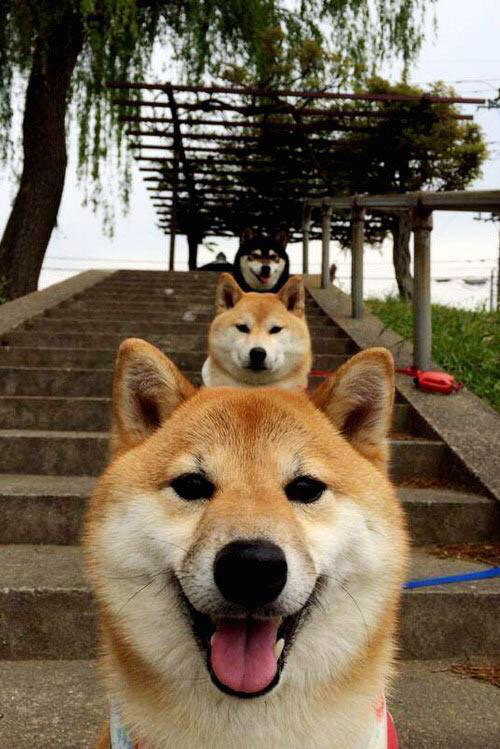 开云体育在线下载-“南非羚羊队的未来希望：诺克·达维德·彼得森的飞速成长”