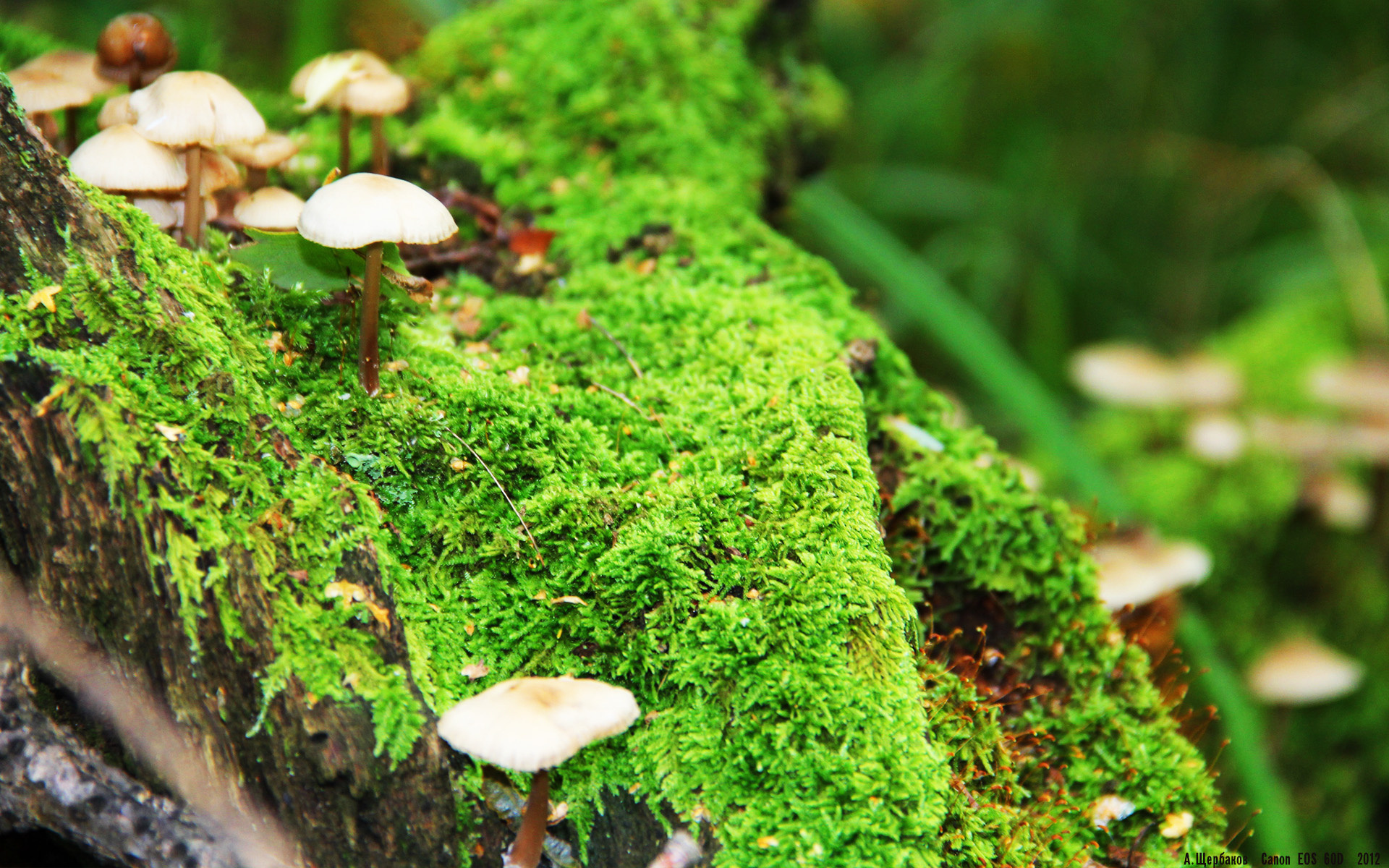 开云体育在线入口-仰泳划频技术稳定度增强，仰泳划手和呼吸的配合