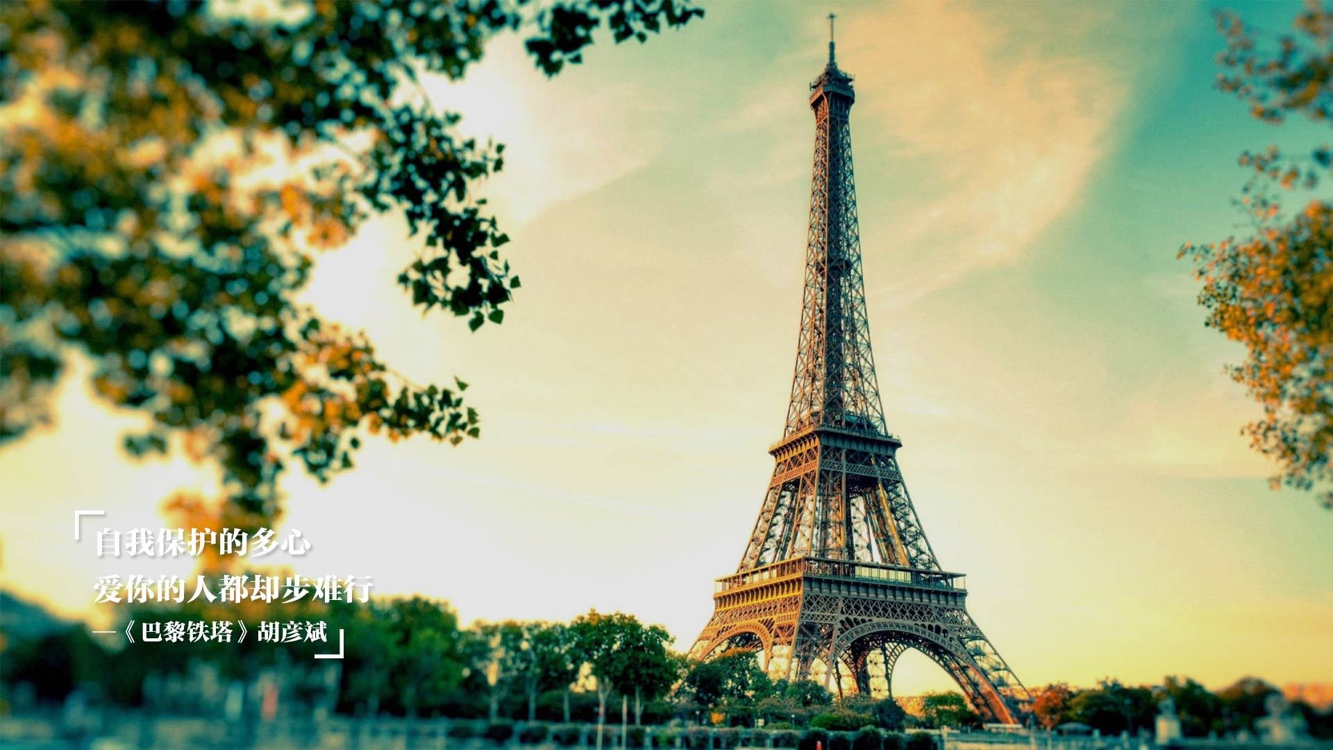 开云官方网-法甲新星崛起：未来领袖闪耀绿茵！，法甲新logo